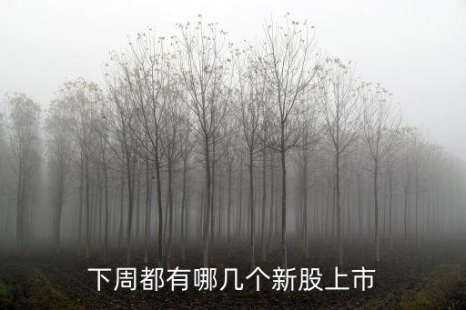 應流股份最新消息，下周都有哪幾個新股上市