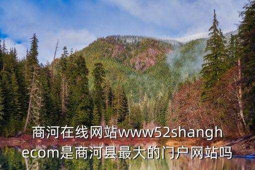 商河在線網站www52shanghecom是商河縣最大的門戶網站嗎