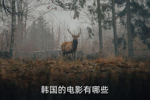 韓國電影推薦，有什么好看的韓國電影