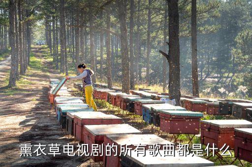 熏衣草電視劇的所有歌曲都是什么