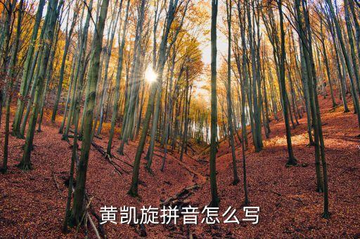 黃凱旋拼音怎么寫(xiě)
