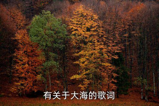 大海歌詞，大海