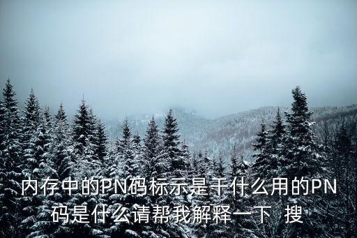 pn碼，內存中的PN碼標示是干什么用的PN碼是什么請幫我解釋一下  搜