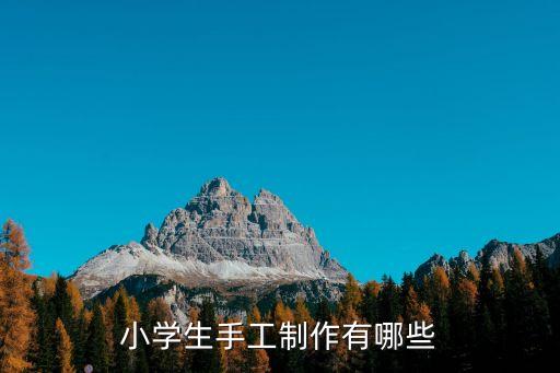 二年級(jí)手工小制作，適合小學(xué)生的手工制作