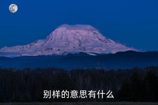 別樣的意思有什么