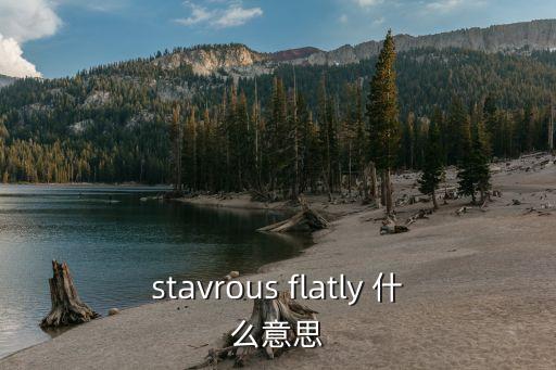 flatly，flatly light life是中文是什么意思