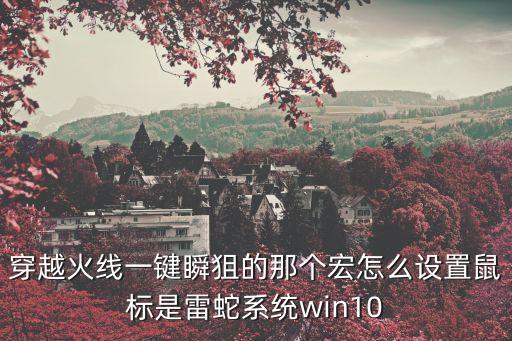 穿越火線一鍵瞬狙的那個(gè)宏怎么設(shè)置鼠標(biāo)是雷蛇系統(tǒng)win10