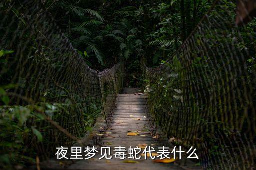 夢見毒蛇，夜里夢見毒蛇代表什么