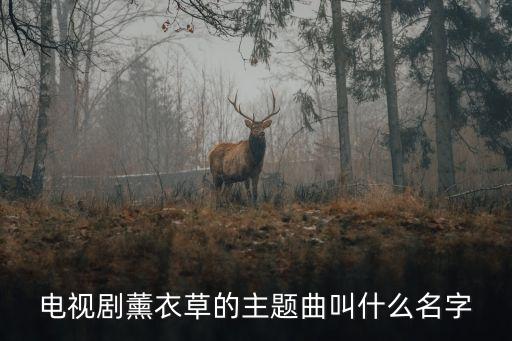 薰衣草主題曲，熏衣草電視劇的所有歌曲都是什么