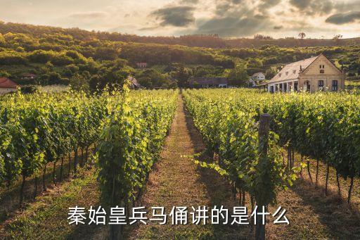 兵馬俑講解，17 秦陵兵馬俑從幾方面介紹