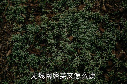無線網絡英文，無線網絡用英語怎么說