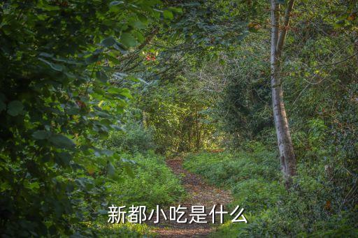 新都小吃是什么