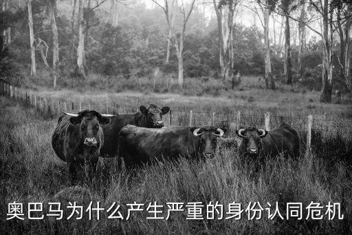 身份認同危機，身份認同危機什么意思