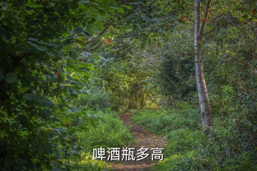 酒瓶高度，啤酒瓶多高