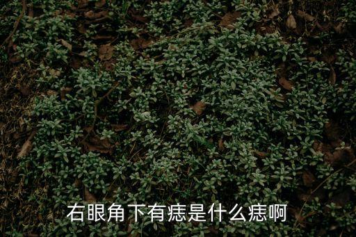 眼角下有痣，右眼角下有痣是什么痣啊