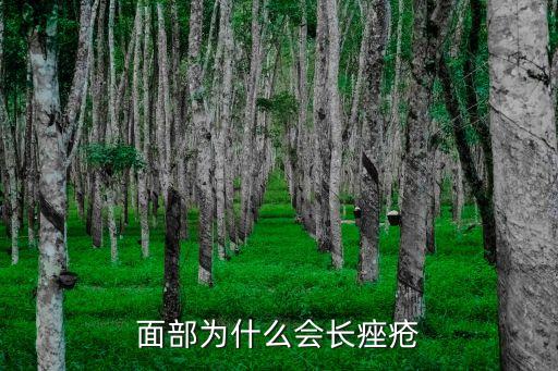為什么會長痤瘡，面部為什么會長痤瘡