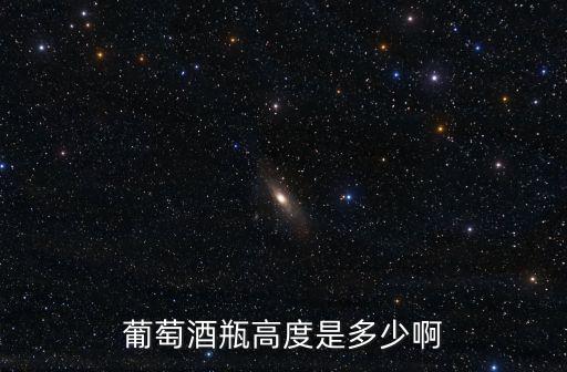 葡萄酒瓶高度是多少啊