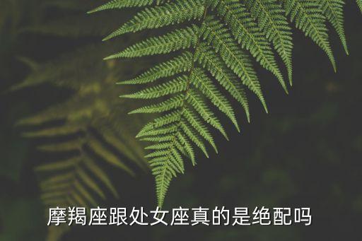 摩羯處女，摩羯和處女配不配
