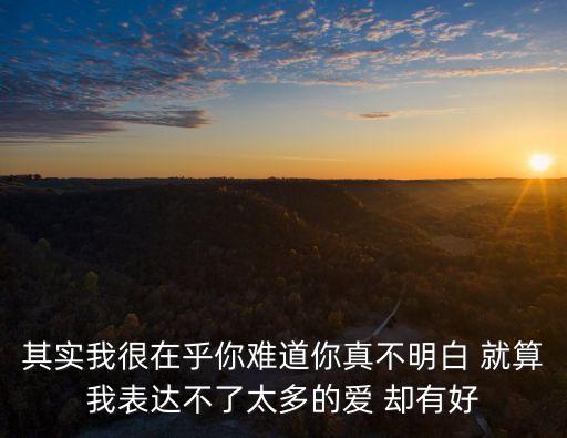 其實(shí)我很在乎你，其實(shí)我很在乎你i難道你還不明白是哪首歌的歌詞