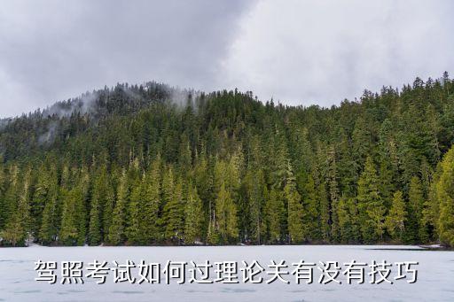 駕照考試如何過理論關有沒有技巧