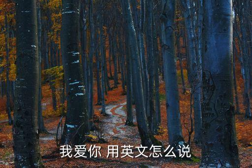 我愛你用英語怎么說，我愛你用英文怎么說