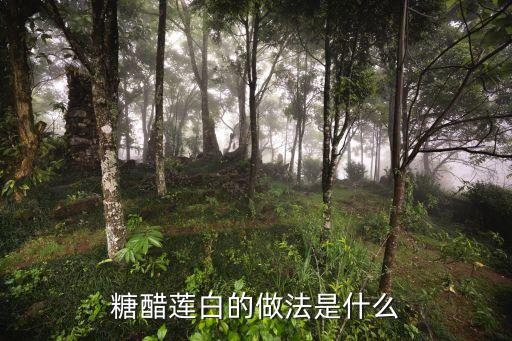 糖醋蓮花白的做法，糖醋蓮白的做法是什么
