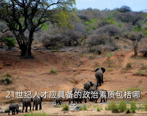 政治思想素質，思想道德素質主要包括