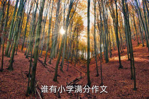 誰有小學(xué)滿分作文