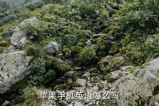 蘋果手機的英文，蘋果手機的英文名是