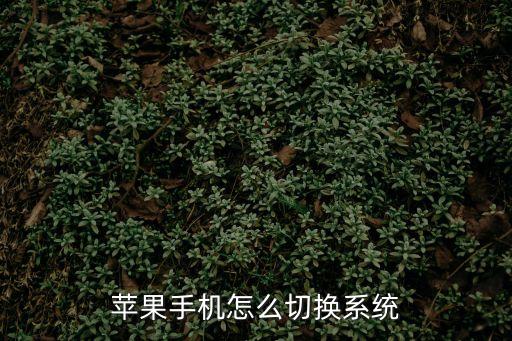 蘋果怎么切換系統(tǒng)，蘋果切換系統(tǒng)按哪個鍵