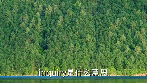 inquiry是什么意思