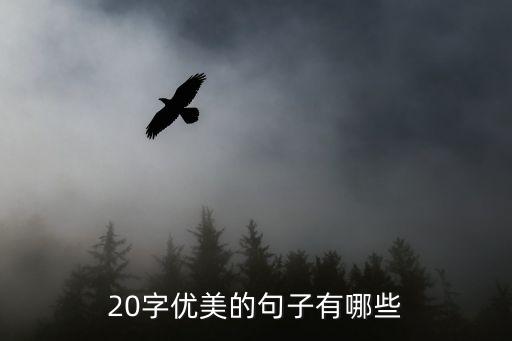 好段摘抄20字，優(yōu)美的句子20字