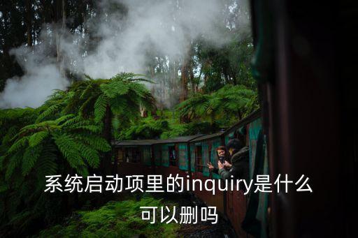inquiry，系統(tǒng)啟動(dòng)項(xiàng)里的inquiry是什么可以刪嗎