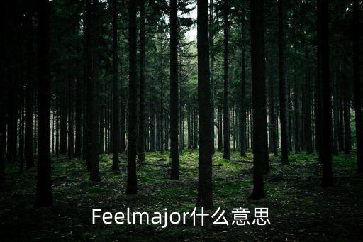 major是什么意思，F(xiàn)eelmajor什么意思