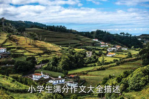 小學(xué)生滿分作文大全描述