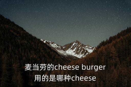 cheeseburger，麥當勞的cheese burger用的是哪種cheese