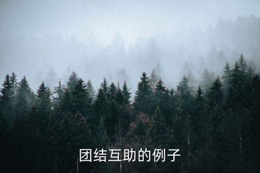 團結互助的例子