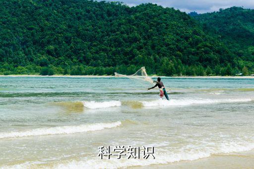 科學(xué)知識，科學(xué)知識