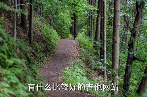 吉他網站，吉他網有哪些