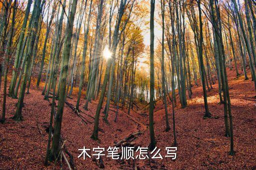 木筆畫順序，木字筆順怎么寫