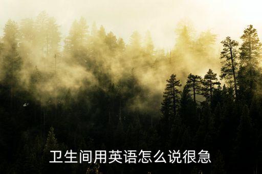 洗手間的英語，衛(wèi)生間用英語怎么說很急