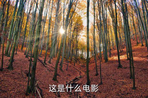 軍艦島電影，關于諾曼底登陸的電影