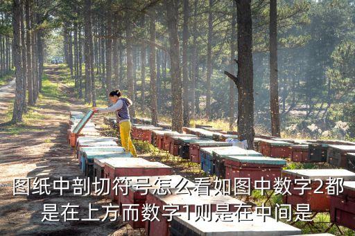 剖切符號方向怎么看，cad 剖切符號 剖切方向問題