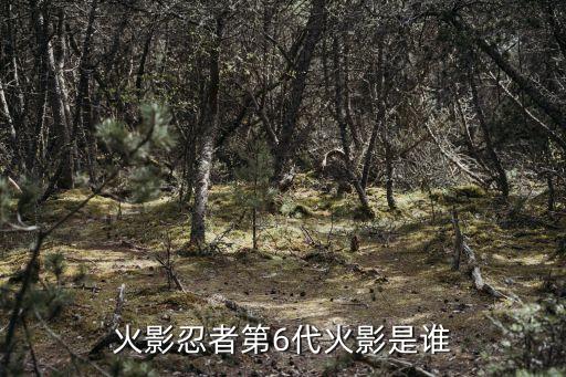火影忍者第6代火影是誰