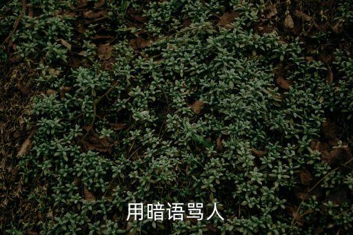 化學罵人暗語，罵人暗語
