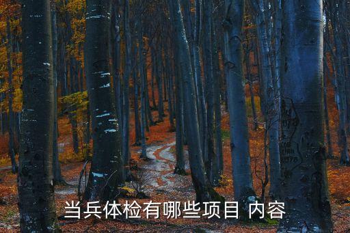 當兵體檢有哪些項目 內容
