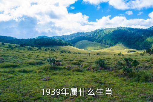 1939年屬什么生肖，一九三九年屬什么生肖