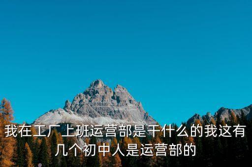我在工廠上班運營部是干什么的我這有幾個初中人是運營部的