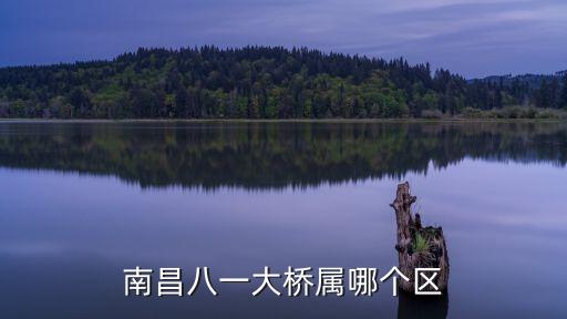 南昌八一大橋屬哪個區