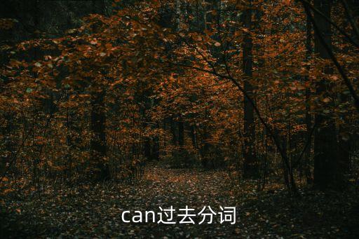 can過去分詞